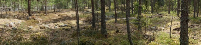 Upplands Väsby woods panorama