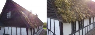 a mossy Danish thatched roof