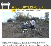 wildflowering.org home page