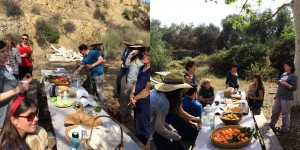 a winter's day picnic in the wilds of the L.A. foothills