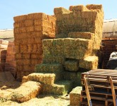 straw and hay bales piled high at the feed and seed