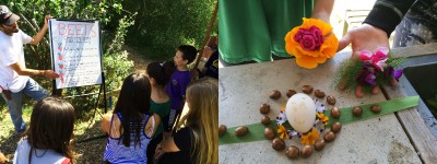 the lesson today is Beets! and an Edible Schoolyard harvest ready for the museum