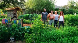 The Schoenherrs, Edible Estate #15, season two