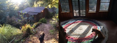 the old doggies inspect their new digs: cabin #7 now called "Cedar," at the bottom of the path