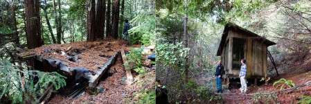 the platform remaining from an old stump-footing cabin and the discovery another cabin still intact