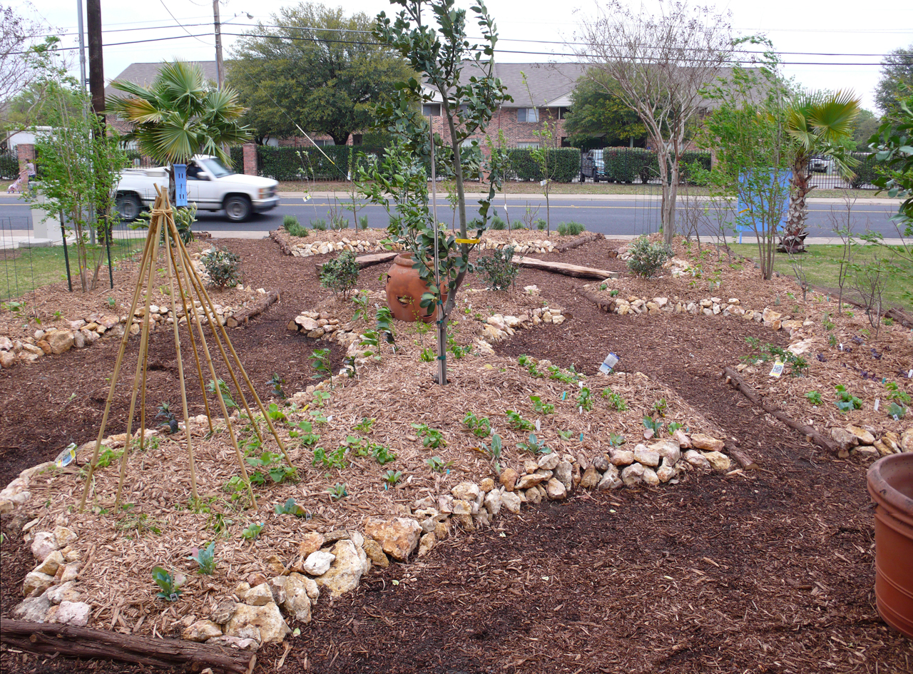 Edible Estates 5 Austin Tx The Garden